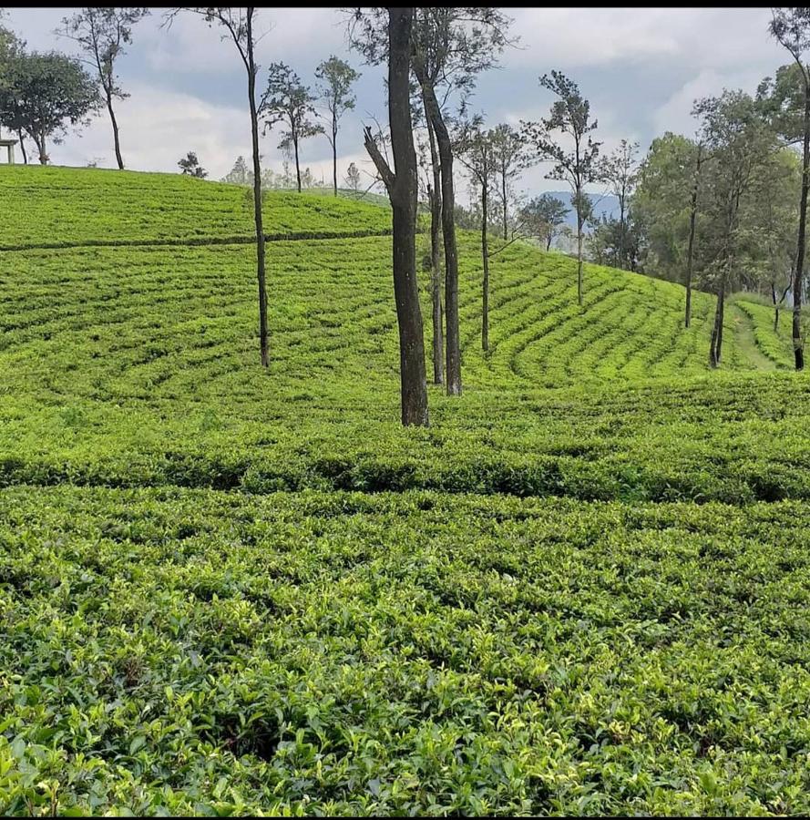 Tea Villas Элла Экстерьер фото